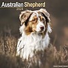 Australian Shepherd Calendar